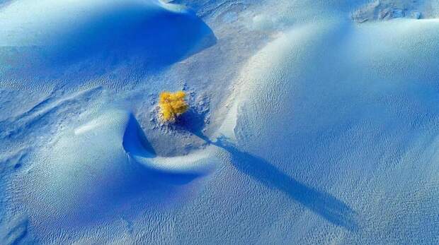 15 самых потрясающе красивых фото зимних видов Земли за всю историю конкурса Nature Photography Contest