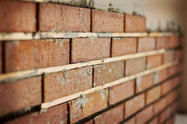 Интересные факты, которых вы могли не знать позновательное, события, мир, знаете ли вы, животные, факты, интересное