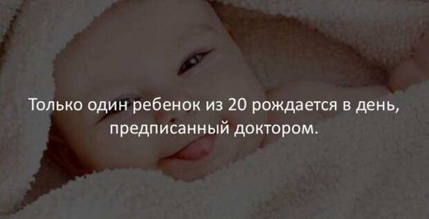 Интересные факты (40 картинок)