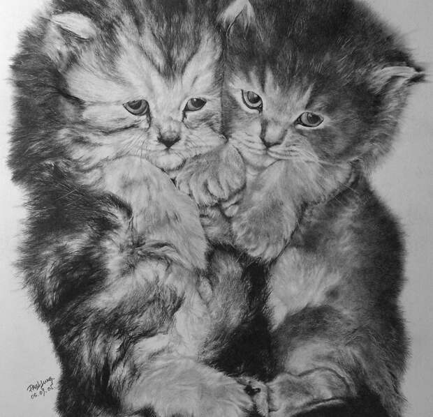 Рисунки карандашом