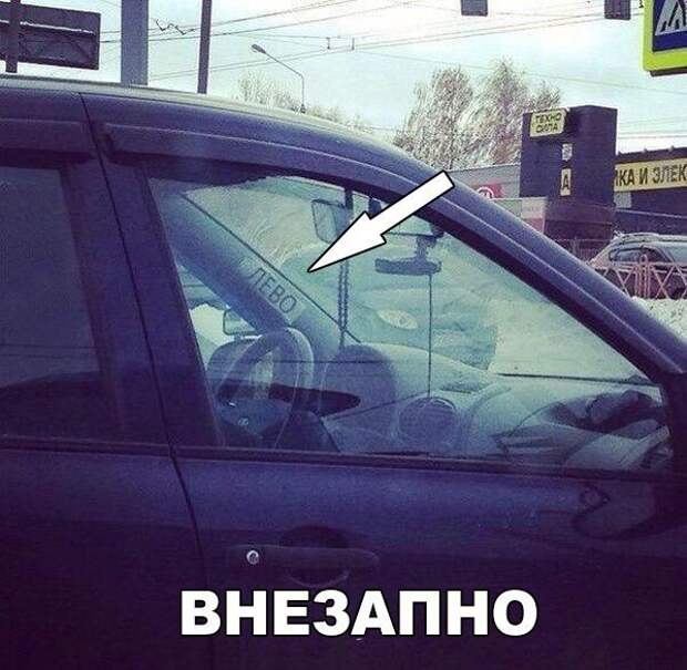 Смешные картинки с надписям
