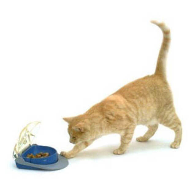 Мышки бегают видео для кошек и пищат. Кот идет к миске. Кошка подходит к миске. Кот подошел. Кормушка для кошек с нажатием лапой.