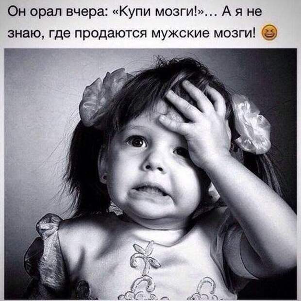 4497432_964u (480x480, 40Kb)