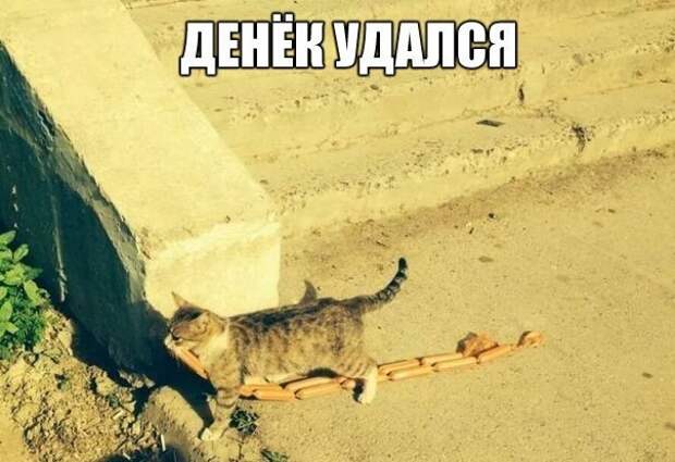 fX6i6idRehU