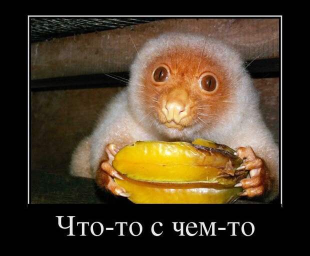 Демотиваторы смех, демотиваторы, прикол, юмор