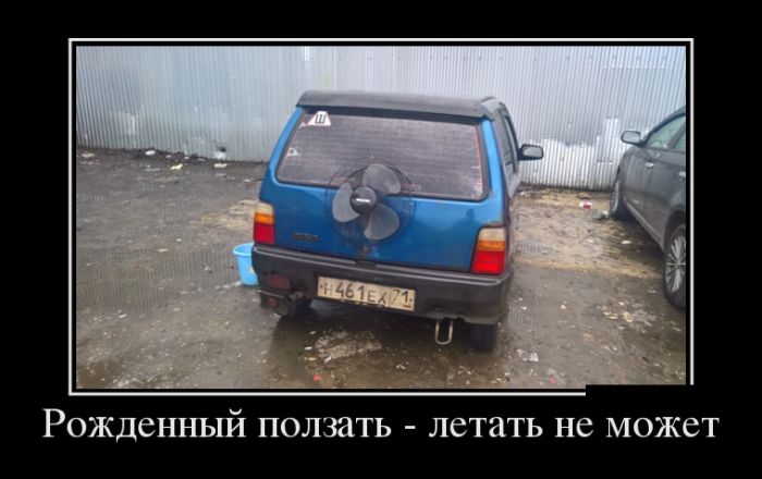 Позитивные и прикольные демотиваторы (11 фото)