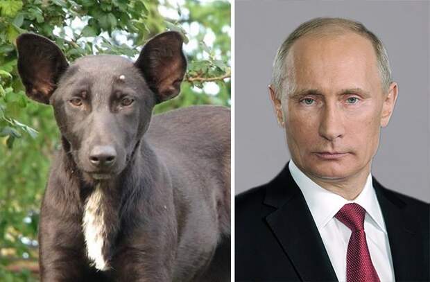 buMReQJadLo