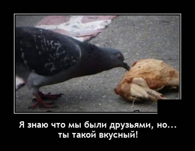 Демотиваторы 20 мая 2021 года