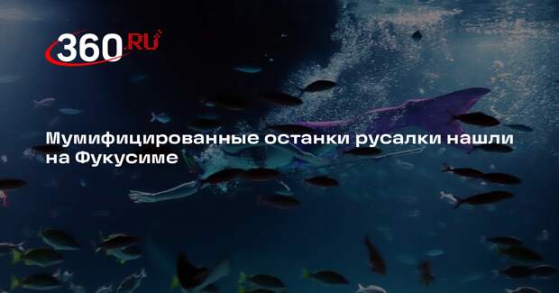 В Японии на торги выставят мумию существа с острыми зубами и рыбьим хвостом