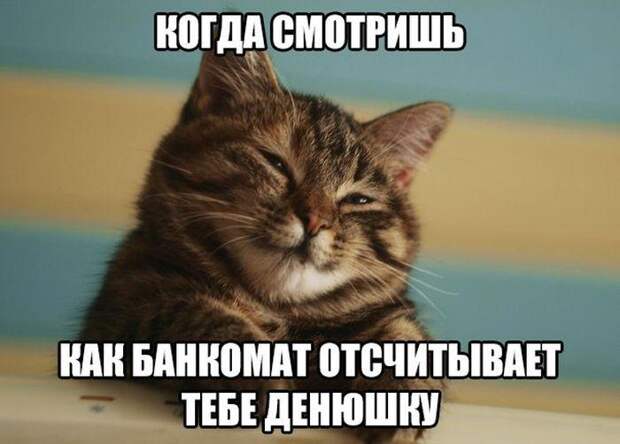 Смешные картинки с надписями