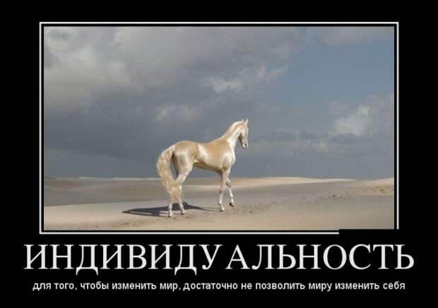 Демотиваторы (30 фото)