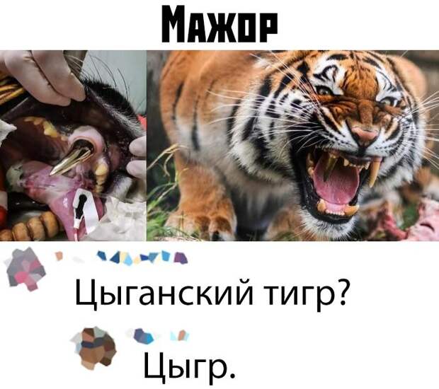 kartinok-prikolnyh-podborka-kartinki-smeshnye-kartinki-fotoprikoly
