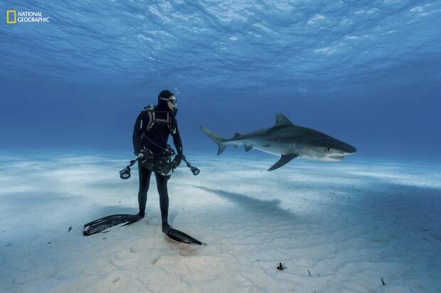 27 самых интересных научных фотографий 2016 года