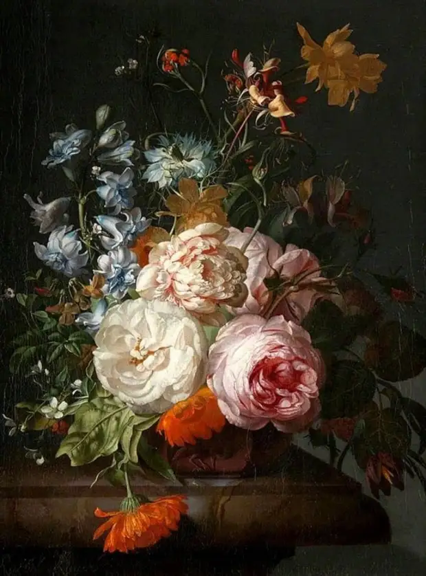  Rachel Ruysch (1664  1750).   