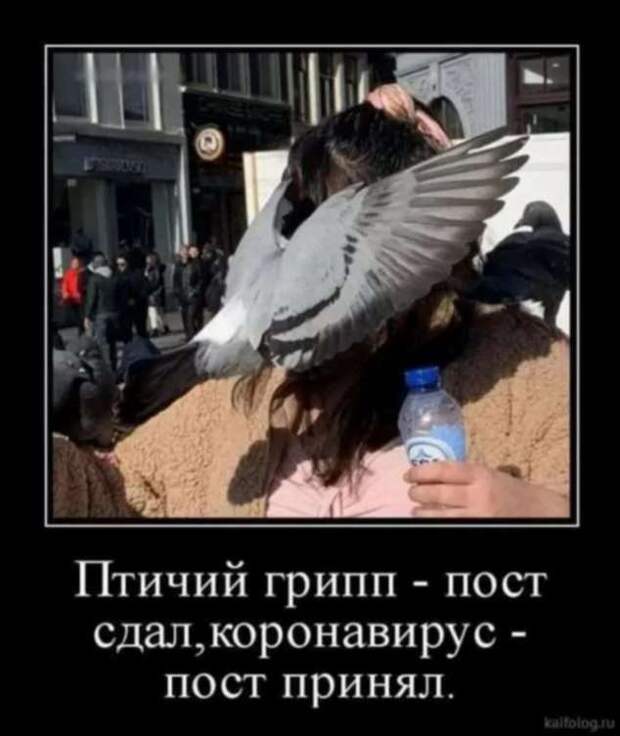 Демотиваторы про коронавирус с надписями. Подборка chert-poberi-dem-koronavirus-chert-poberi-dem-koronavirus-05000703092020-5 картинка chert-poberi-dem-koronavirus-05000703092020-5