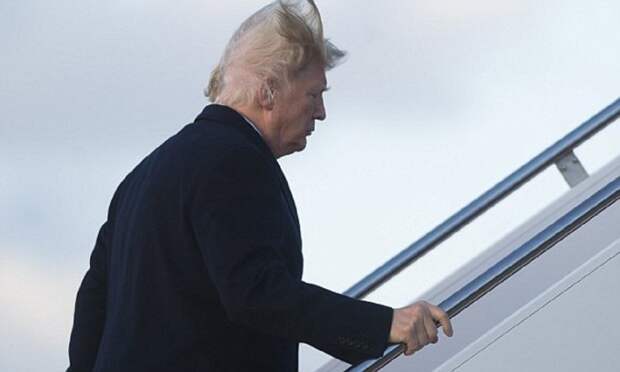 Носит ли Дональд Трамп парик? Дональд Трамп, волосы, ложь президента, лысина, неожиданно, парик, президент сша, прическа