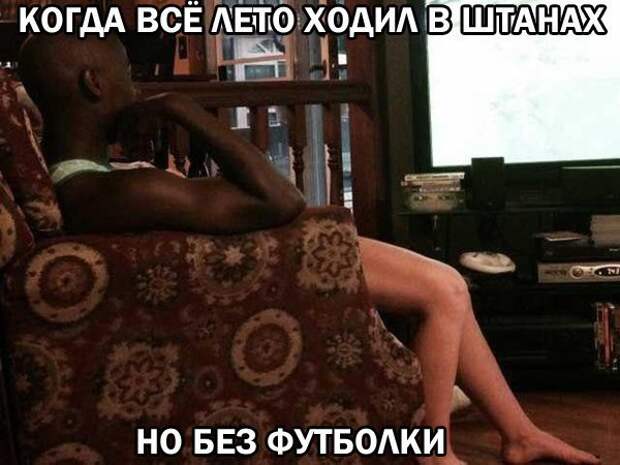 Смешные картинки с надписям