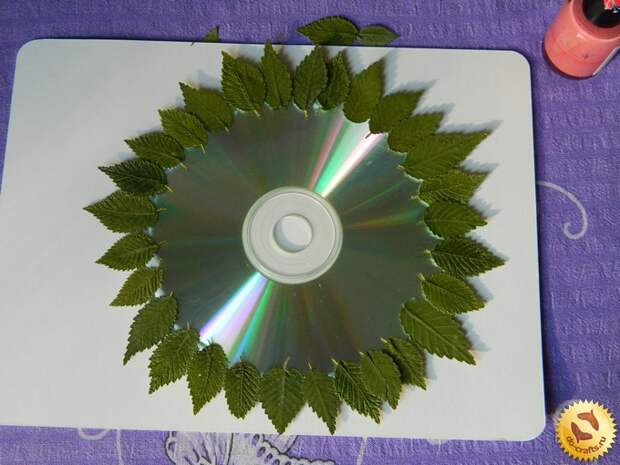 Panno-iz-suhih-listev-na-cd-diske 3