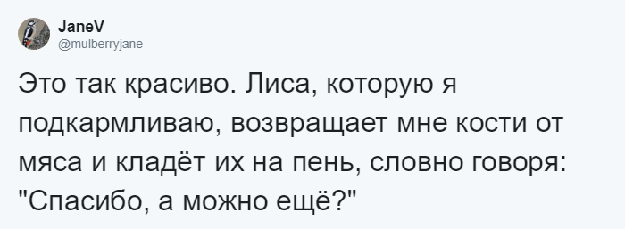 Мужчина четыре года кормил воронью семью, и те принесли ему таинственный дар Стюарт Далквист, в мире, ворона, дар, добро, история, люди, птицы