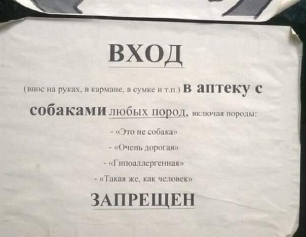 Несколько объявлений, которые моментально поднимают настроение