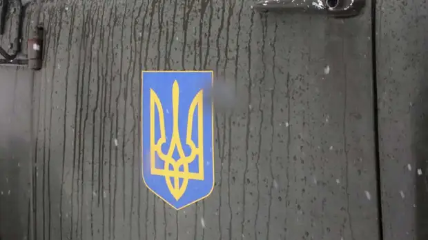 Депутат Вассерман назвал главную причину провала украинской государственности