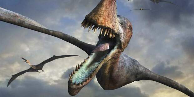 Как выглядели яйца динозавров: факты о жизни миллион лет до нашей эры