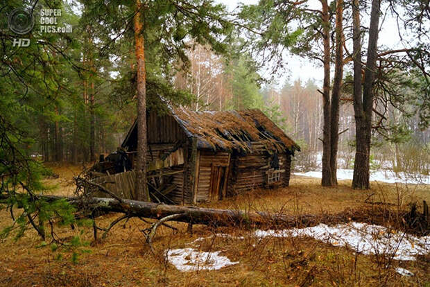 Лучшие фотографии 2013-го года по версии Яндекс.Фотки