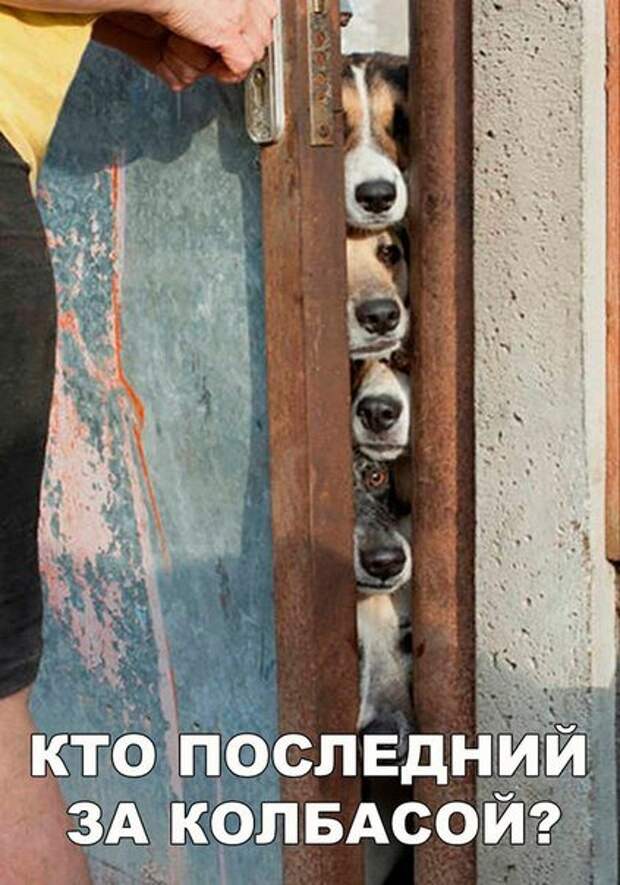 Свежие фотомемы для настроения (22 шт)