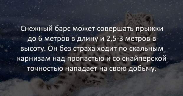 Интересные факты