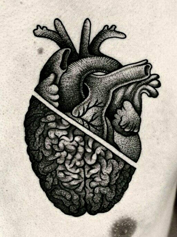 Татуировка с изображением половинки сердца и мозга.