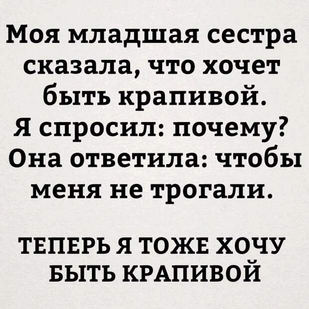 Прикольные картинки с надписями для поднятия настроения (11 фото)