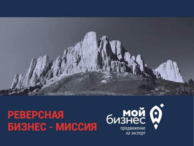 Центр поддержки экспорта организует в Адыгее реверсную бизнес-миссию для компаний из Турции
