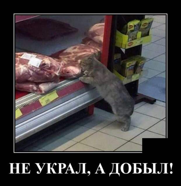 Демотиваторы 14 июля 2021