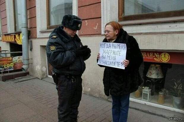 Лучшие приколы дня