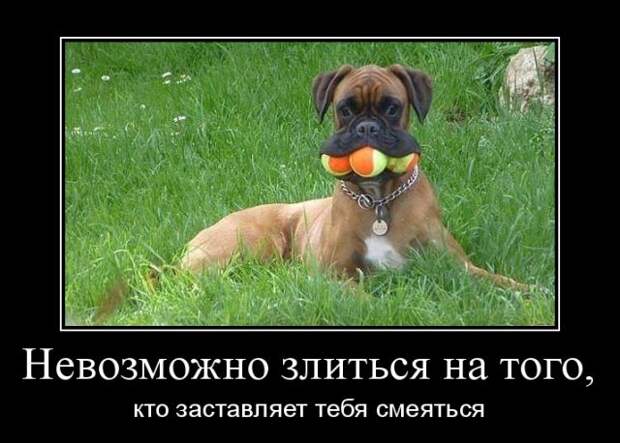 Демотиваторы (30 фото)