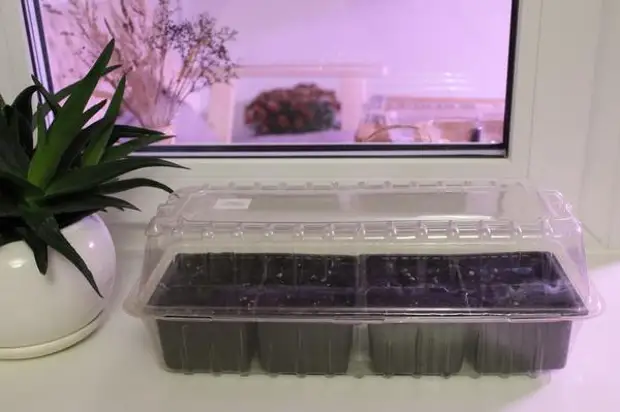 �������� ������ � ��������