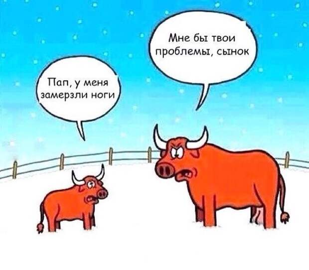 Картинки с надписями для поднятия настроения Картинки с надписями для поднятия настроения