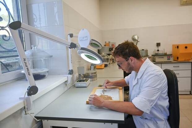 8 февраля: какой сегодня день