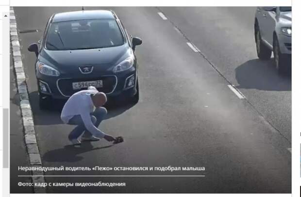 Спасший котенка водитель — «Комсомолке»: Он был такой беззащитный, что я не мог проехать мимо (ВИДЕО)