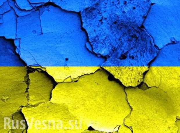 Украину ждет очень плохой и болезненный сценарий, — Манн | Русская весна