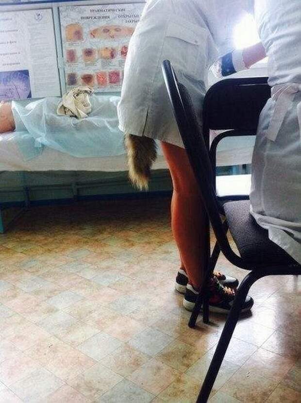 Фото из серии оказалось — показалось!