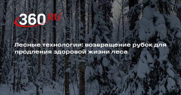 В Подмосковье запланированы масштабные работы по прореживанию леса