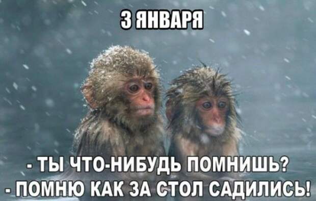 Новые прикольные фотомемы