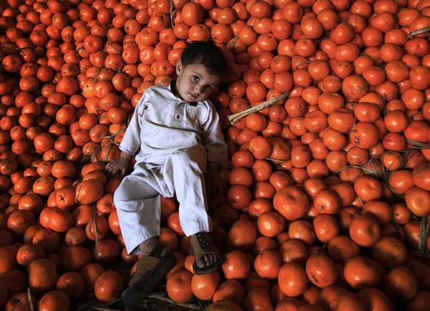 Пакистанский мальчик пришел с родителями продавать мандарины Дети Мира, подборка, подборка фото, фото