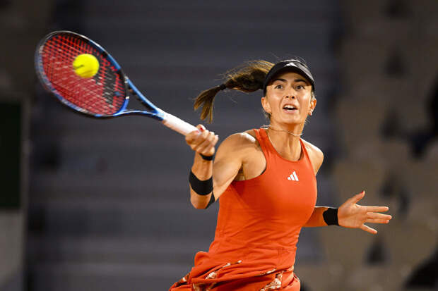 Армянскую теннисистку обязали Аванесян возместить убытки ФТР