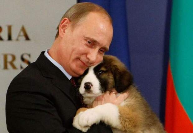 20 самых ярких фотографий Путина с животными