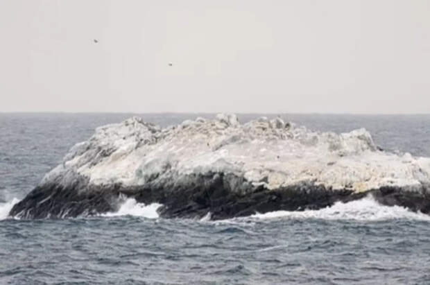 Ученые из ФРГ случайно нашли близ Антарктиды таинственный опасный остров