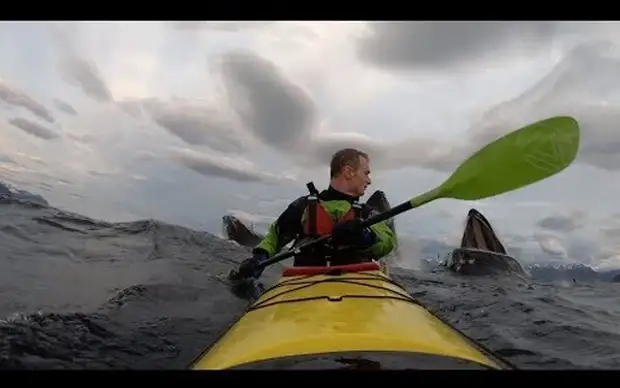 Нажми и смотри