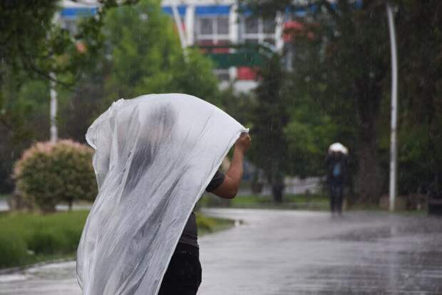 Погода в Крыму 8 мая: дождь, днём до +17
