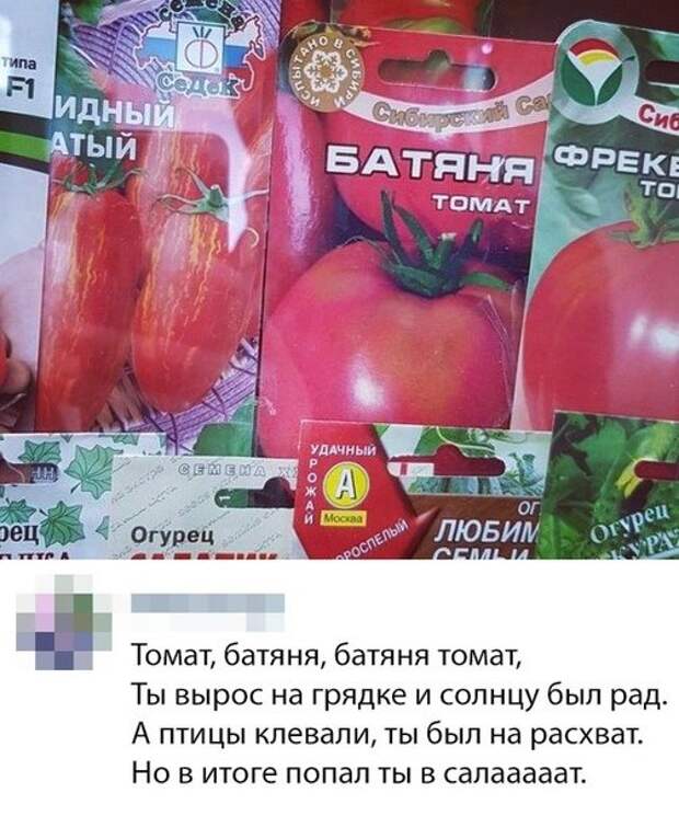 картинки